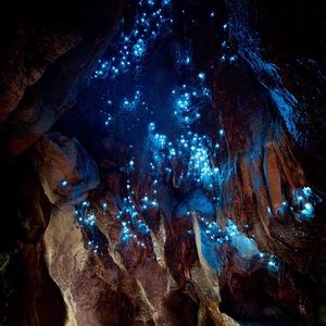 Meet your Posher, Tony